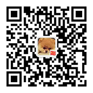 开云线上平台
